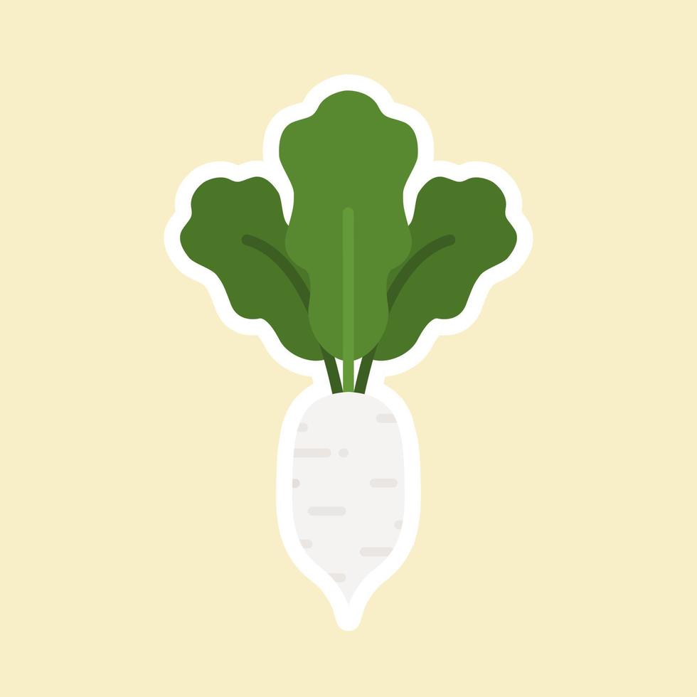 white radish flat design vector illustration isolated on color background, cartoon style, Vegetable vector. vegetarian vegan illustration . can use for culinary, food, restaurant