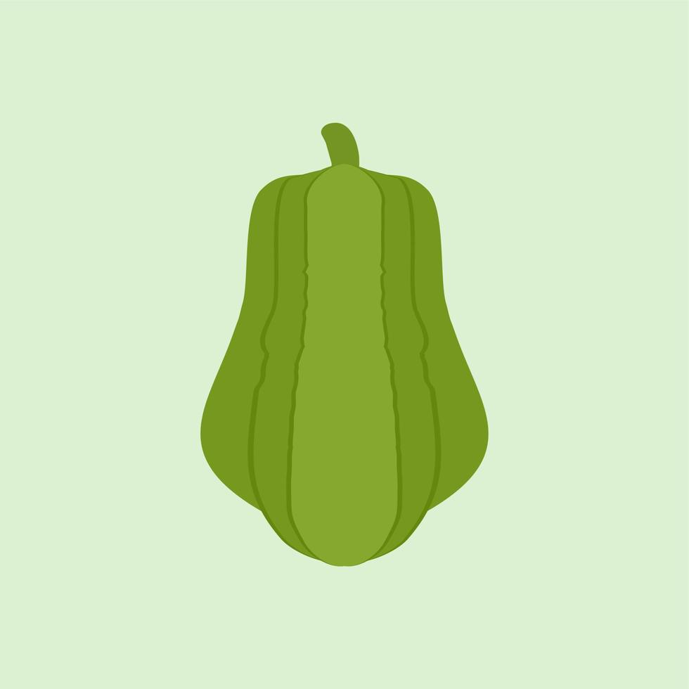 chayote flat design vector illustration.Chayote plant icon. Flat illustration of chayote plant vector icon for web design