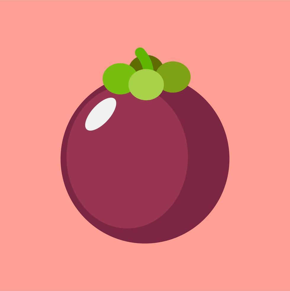 mangosten flat design vector illustration. Exotic fruit icon realistic fresh summer Vector illustration citrus mangosteen. Fruit and Healthy Food