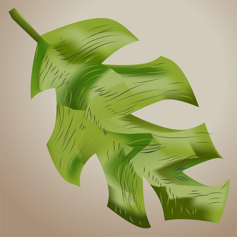 Leaf Vector Illustration