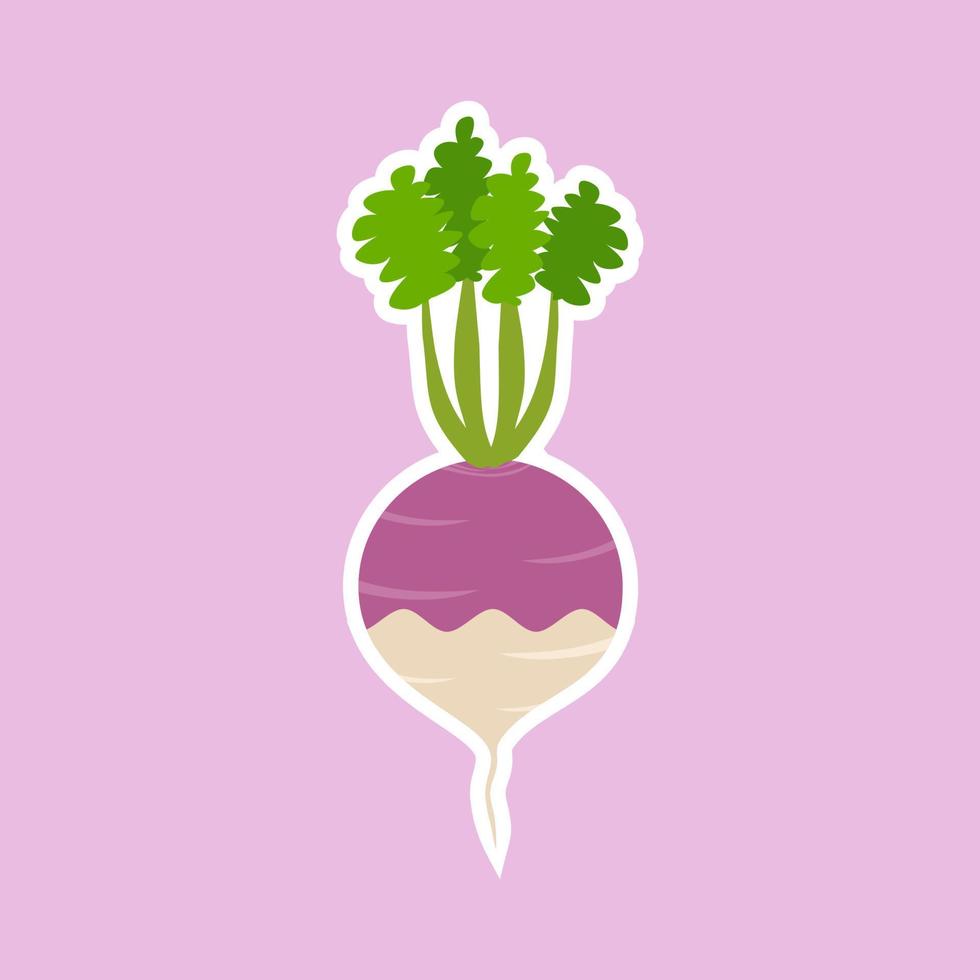 purple turnip flat design vector illustration. Adorable cartoon radish and cheerful turnip friendly character. Vector illustration. kawaii vegetable mascot for vegan and vegetarian