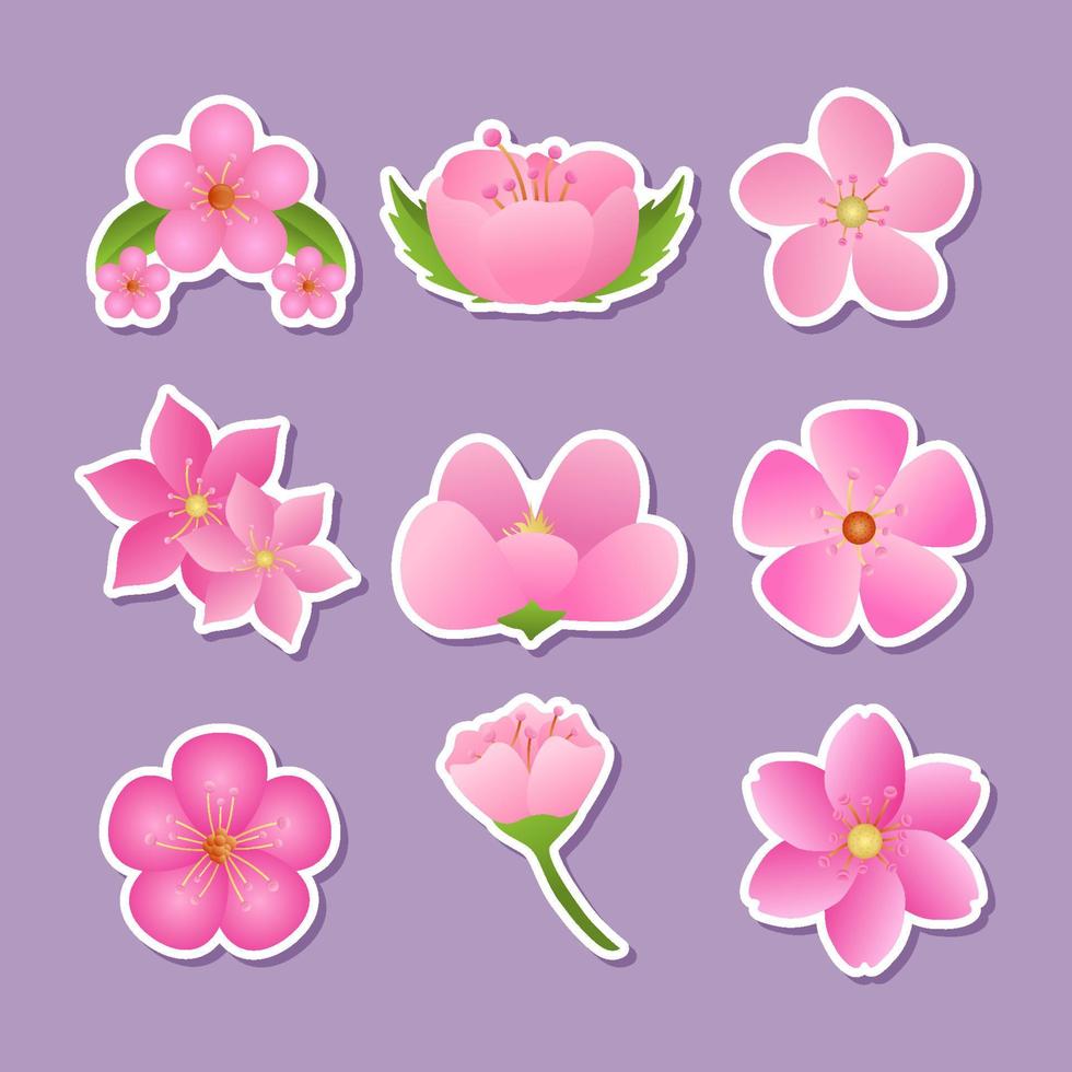 Collection of Spring Cherry Blossom Sticker Pack vector