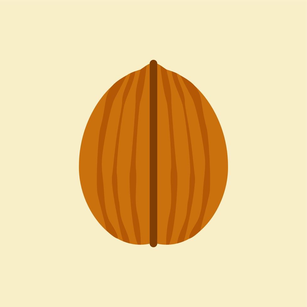 walnut flat design. can be used in restaurant menu, cooking books and organic farm label. Healthy food. Tasty vegan . Organic product. Culinary ingredient. Detailed vector design