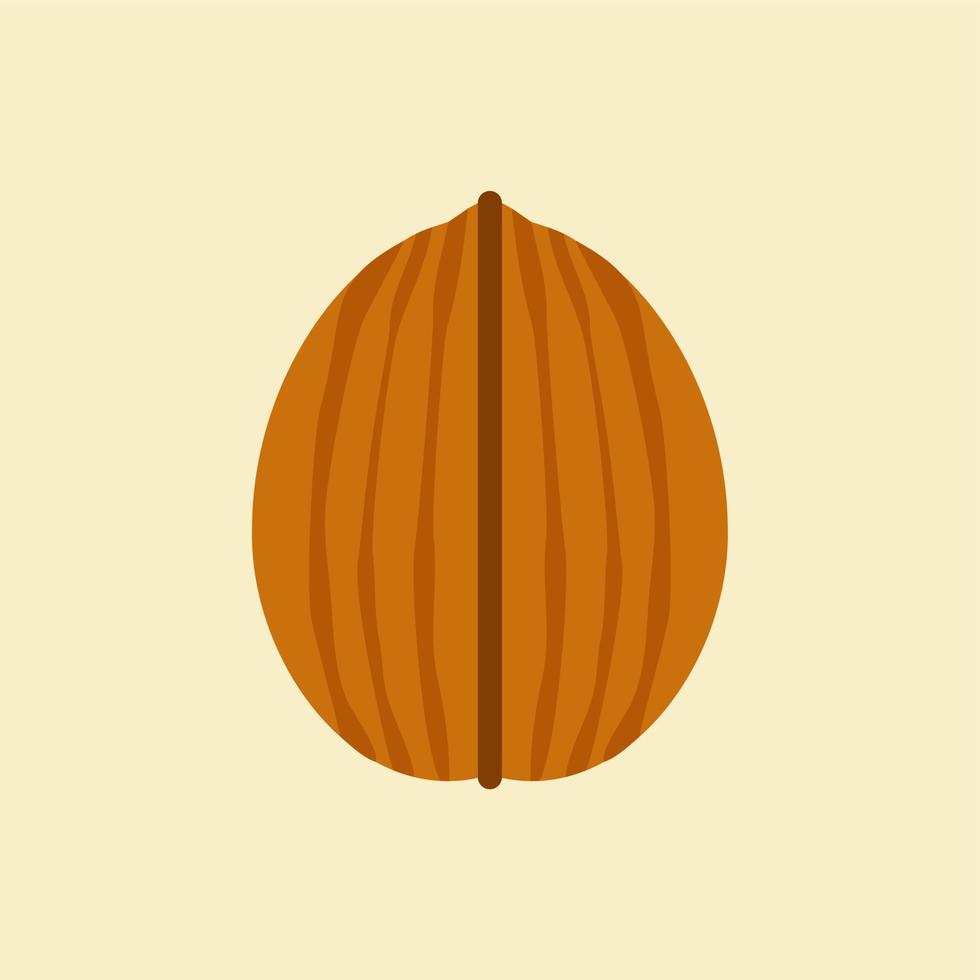 walnut flat design. can be used in restaurant menu, cooking books and organic farm label. Healthy food. Tasty vegan . Organic product. Culinary ingredient. Detailed vector design