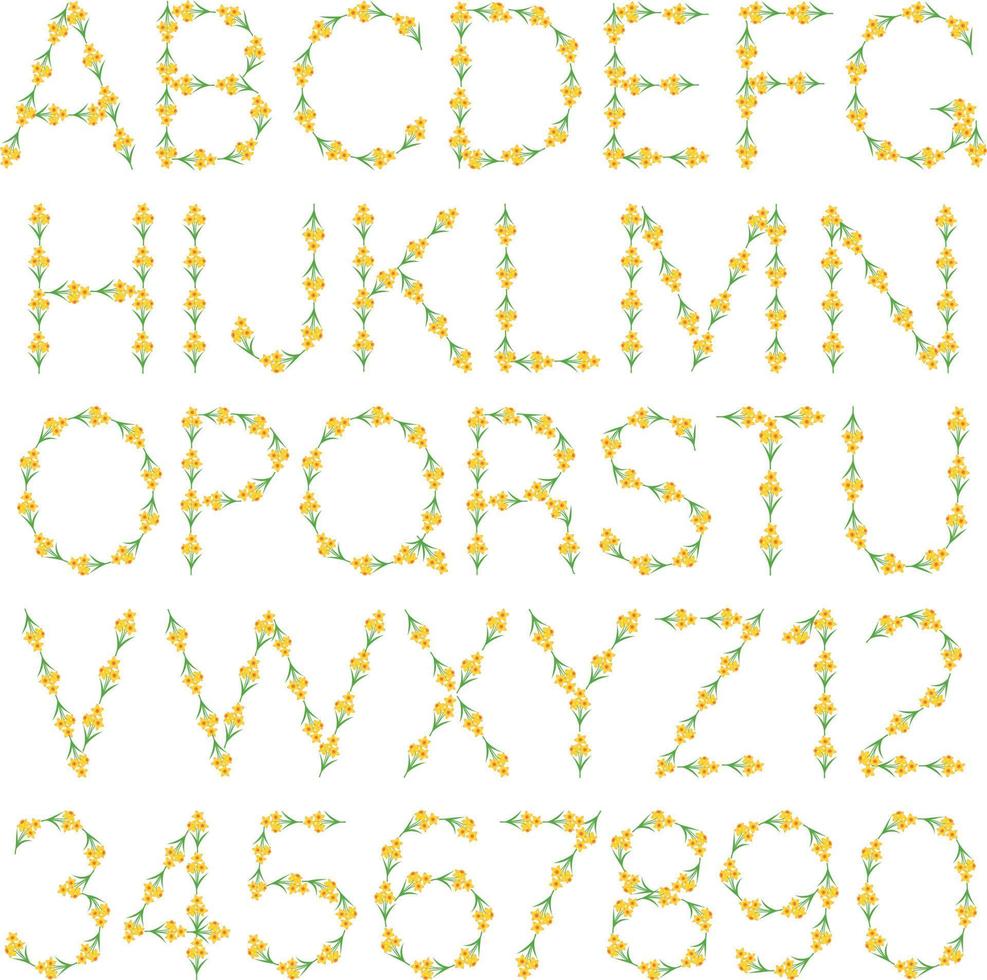daffodil floral vector alphabet.