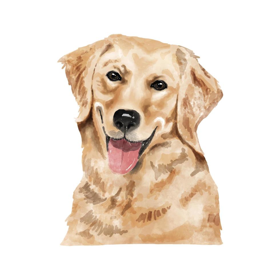 Dog Golden Retriever watercolor painting. Adorable puppy animal isolated on white background. Realistic cute dog portrait vector illustration
