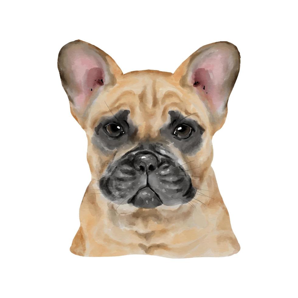 Dog French Bulldog watercolor painting. Adorable puppy animal isolated on white background. Realistic cute dog portrait vector illustration