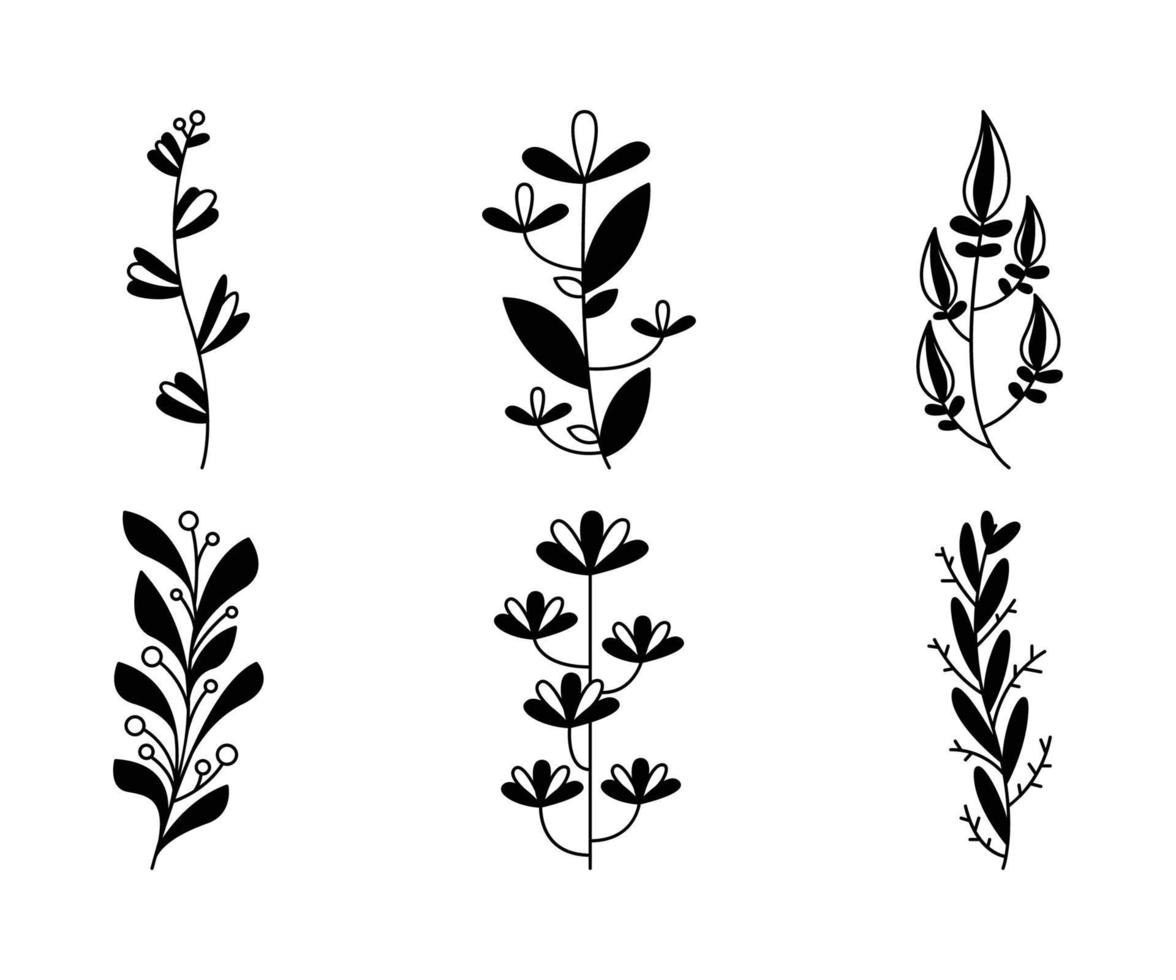 conjunto de ilustración de vector de hojas y flores