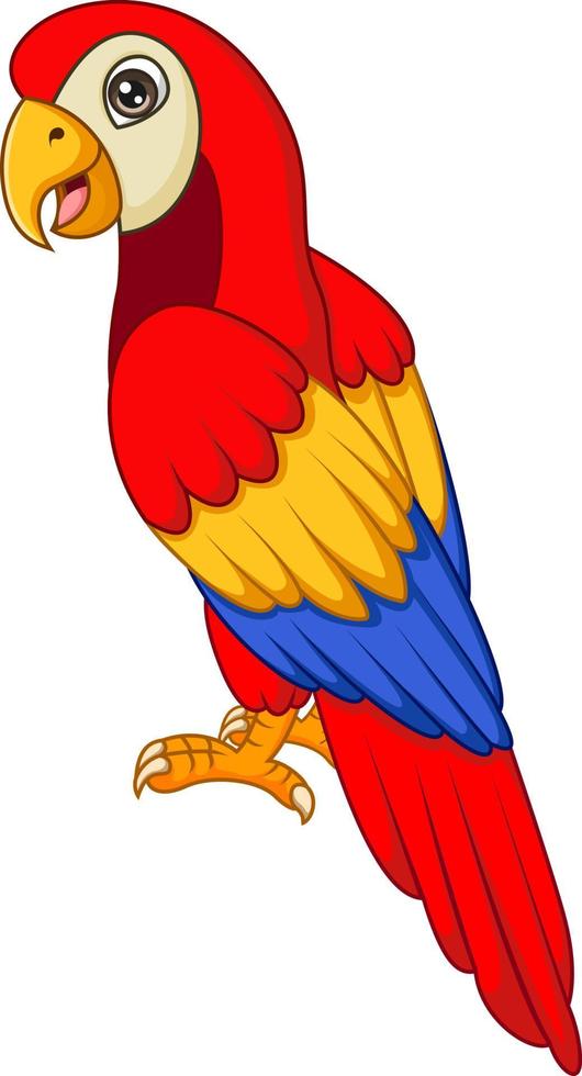 Cute macaw bird cartoon posing vector