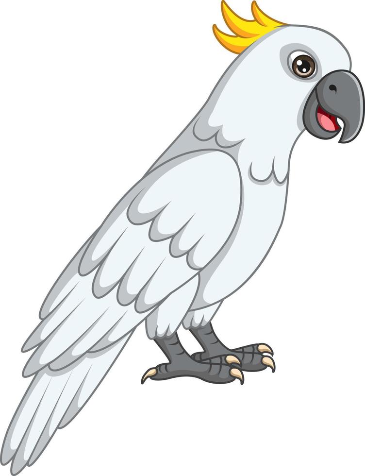 Cartoon cockatoo bird on white background vector