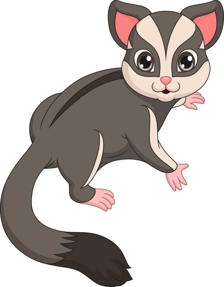 Cartoon funny sugar glider posing vector