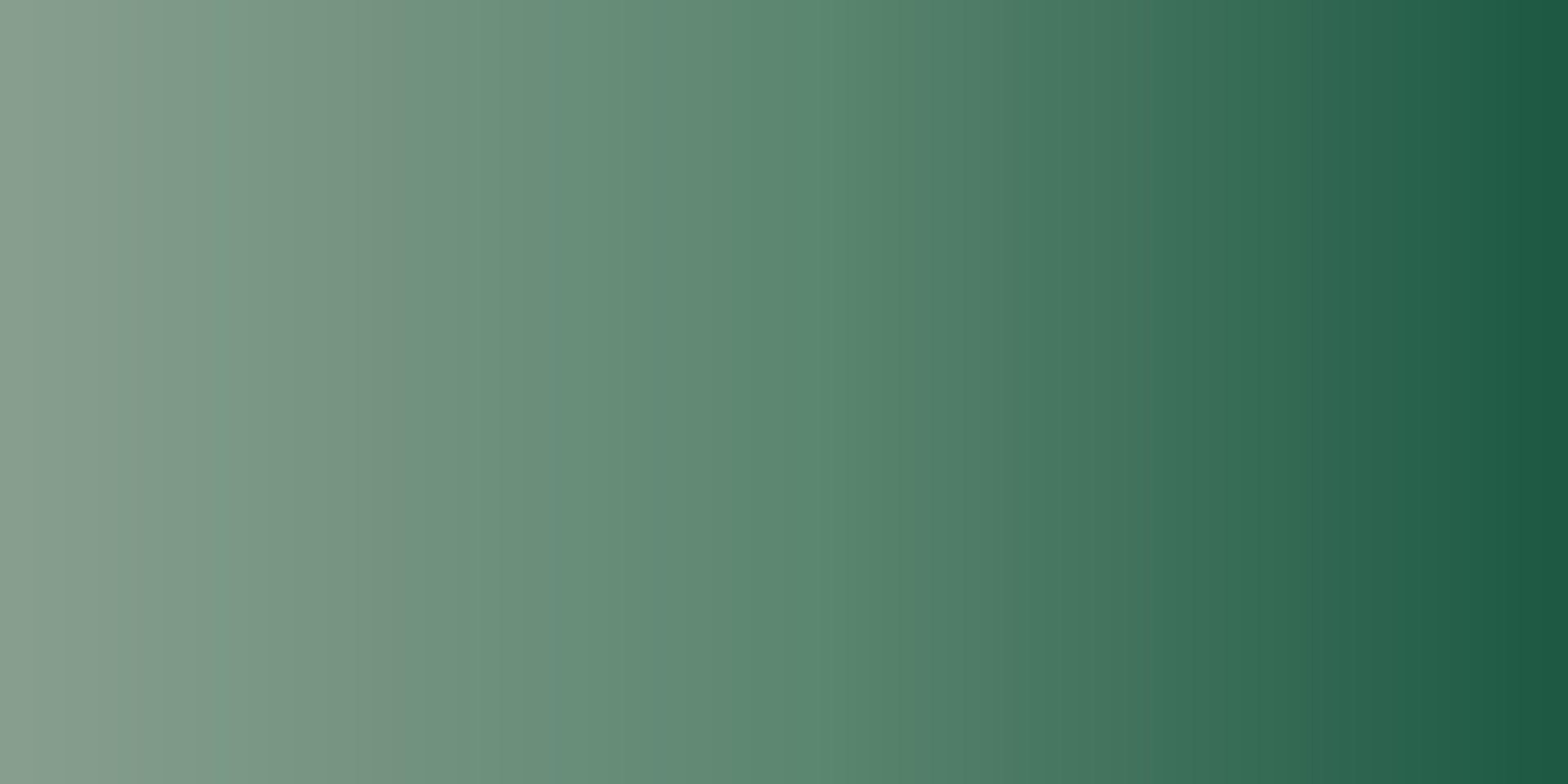 Gradient background with Noise Grain vector