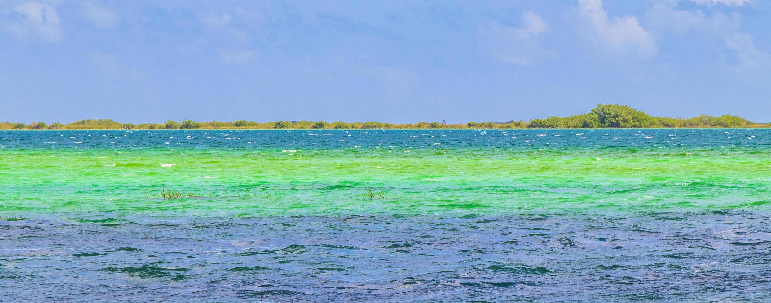 Muyil Lagoon panorama view landscape nature turquoise water Mexico. photo