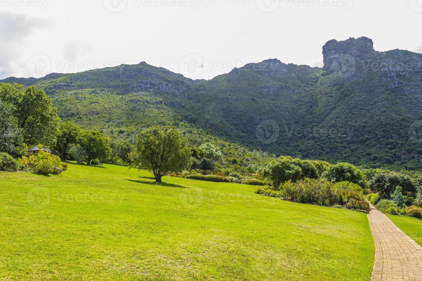 jardín botánico nacional kirstenbosch, ciudad del cabo, sudáfrica. foto