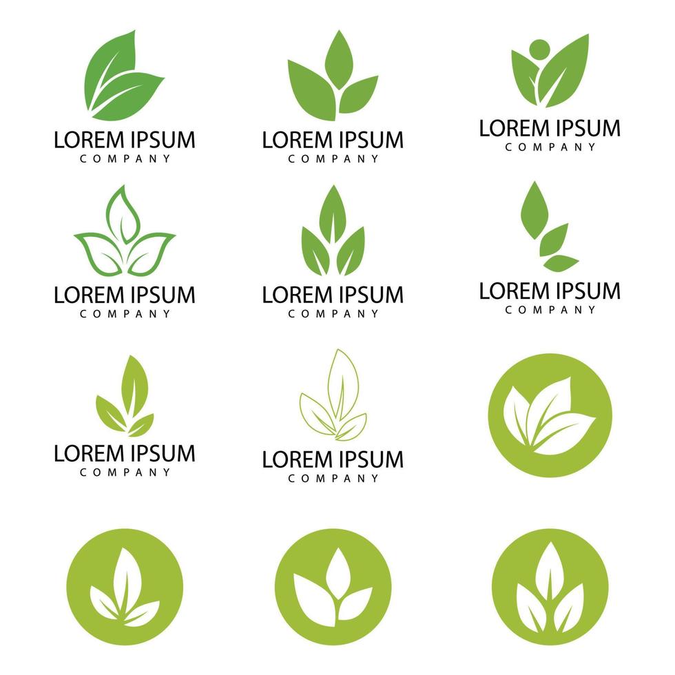 Leaf icon Vector Illustration design Logo template