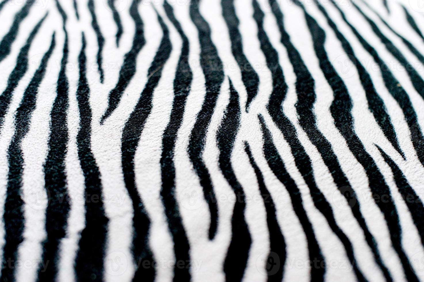 Zebra black and white background image Beautiful visual concept photo