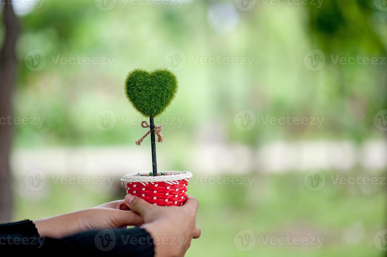 hermosa mano verde y corazón imágenes concepto de día de san valentín con espacio de copia foto