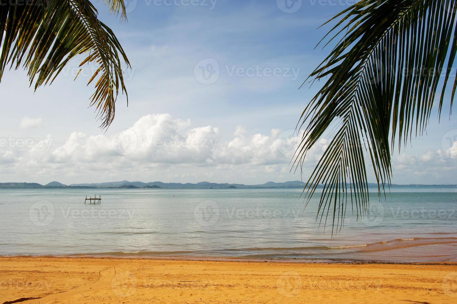 Coconut trees and sea, beautiful natural scenery photo