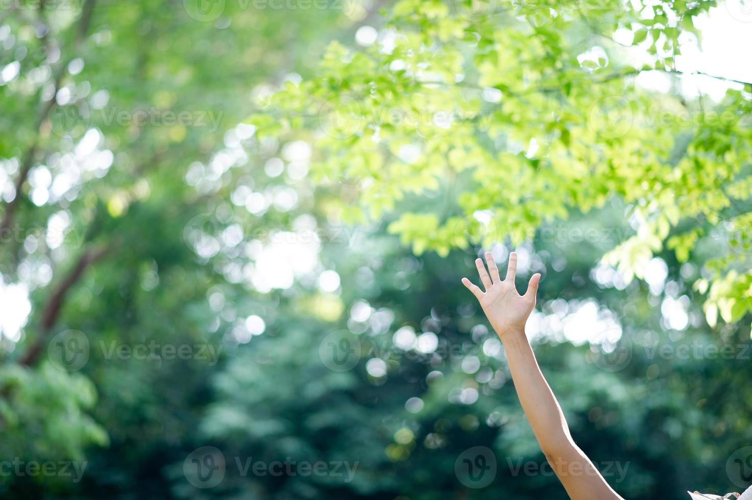 las manos blancas y limpias de la niña y el fondo del bokeh foto