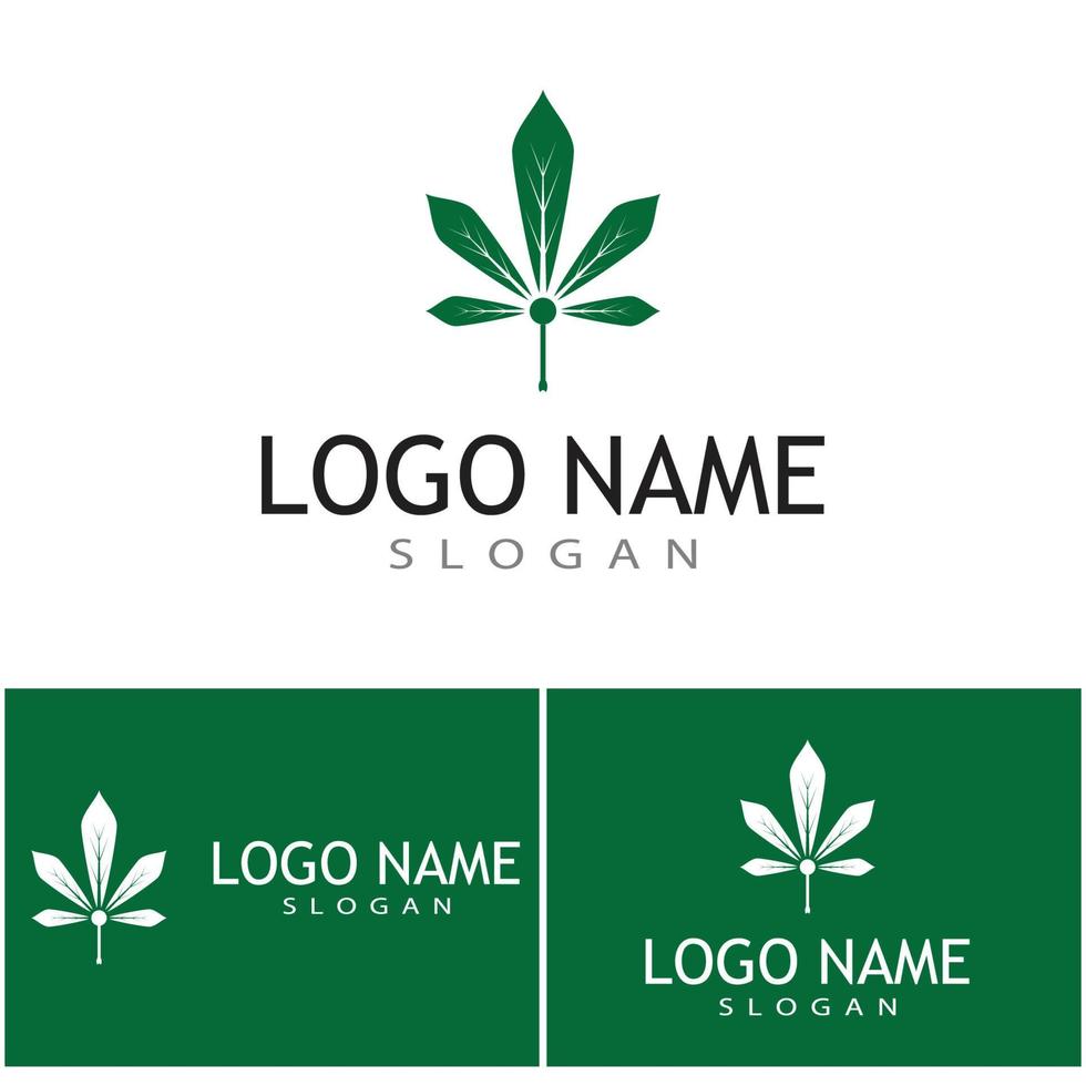 canabis logo plantilla vector símbolo naturaleza