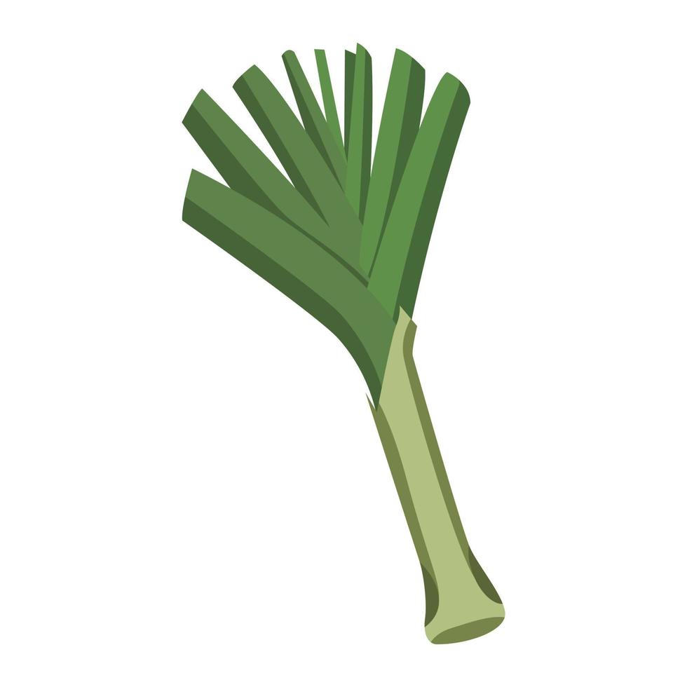 illustration of leek vector