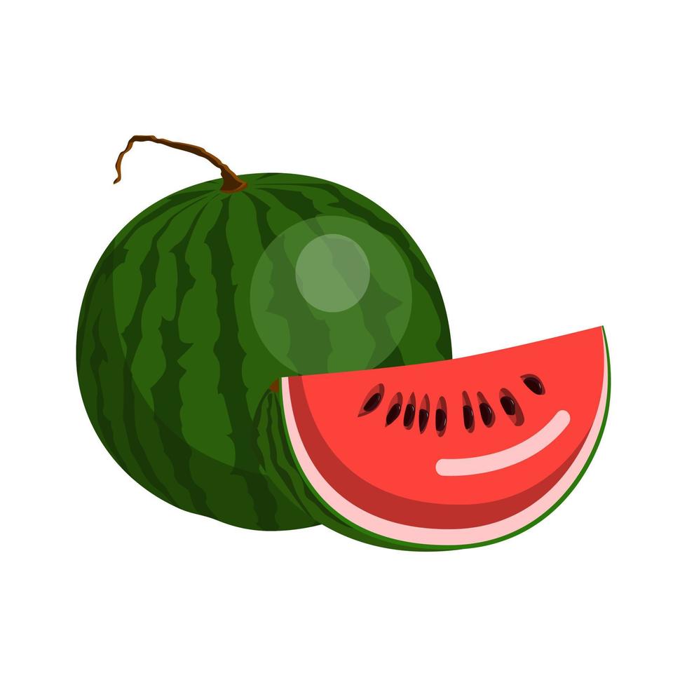 watermelon, a whole green watermelon with a tail, half a watermelon with bones vector