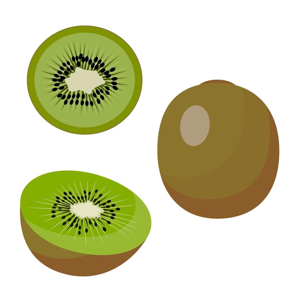 kiwi, kiwi verde redondo entero, la mitad y una rodaja de kiwi. vector