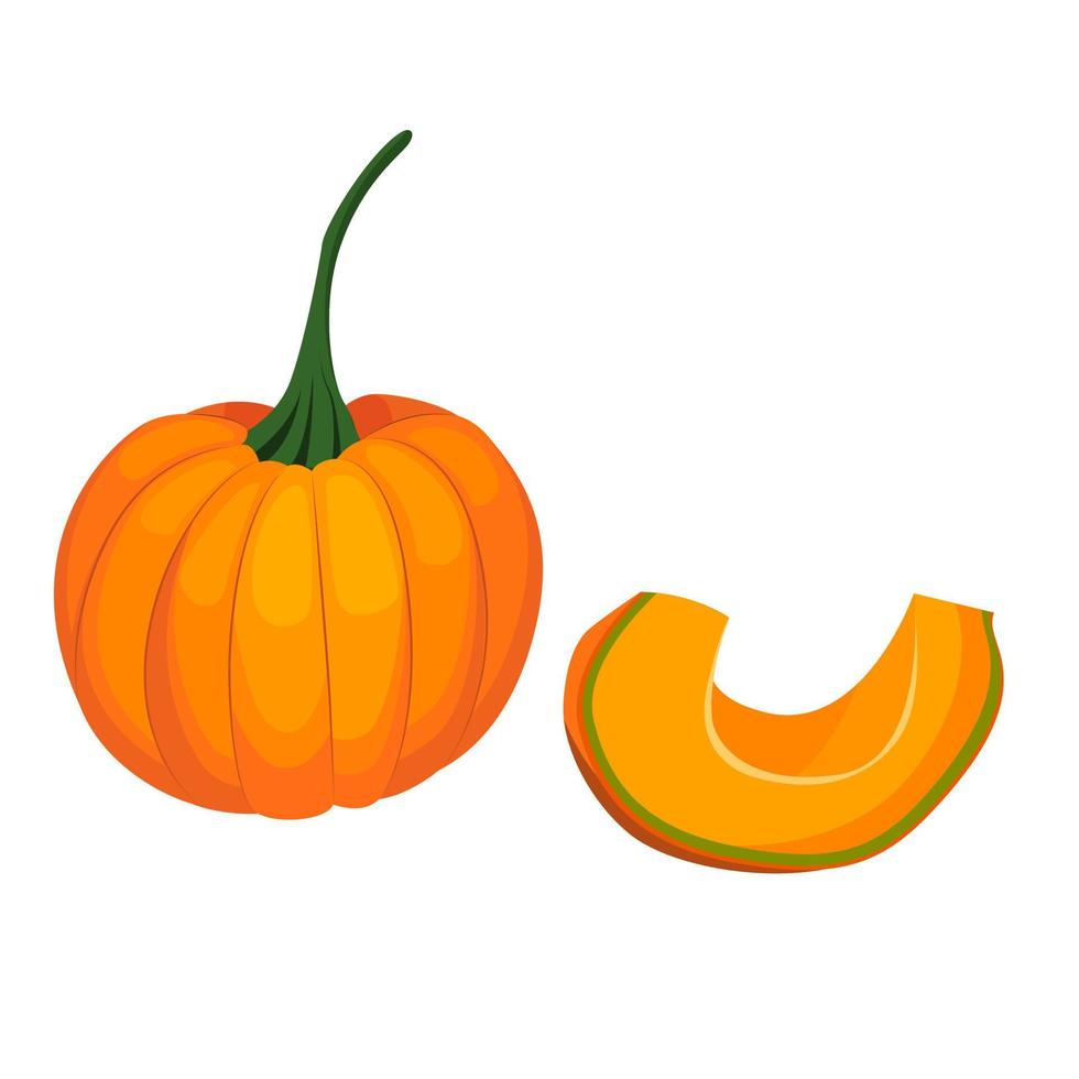 calabaza, naranja calabaza redonda entera y pieza vector