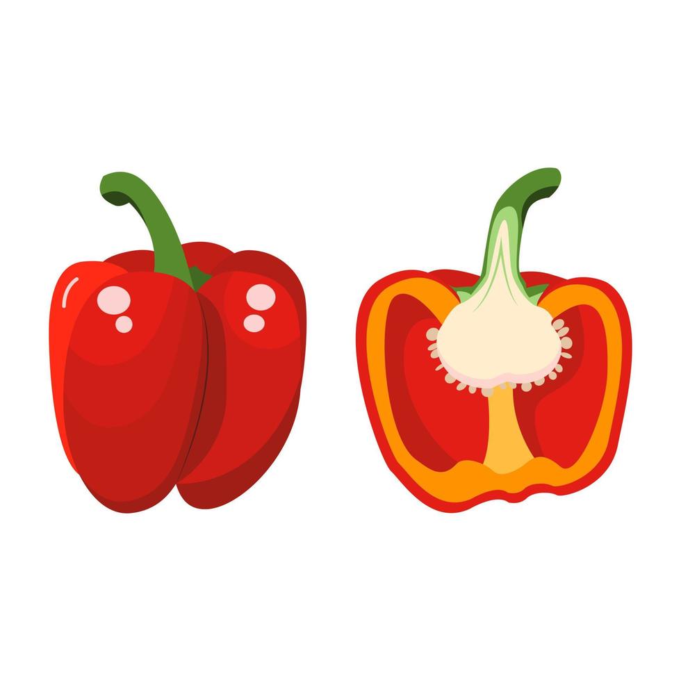 sweet red pepper whole and half. vector