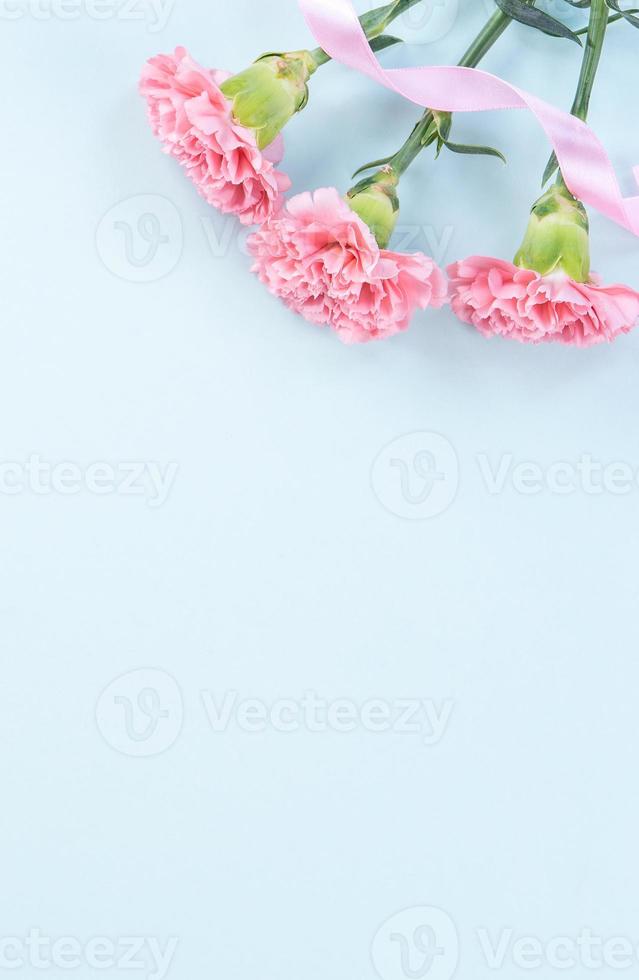 Beautiful fresh blooming baby pink color tender carnations isolated on bright blue background, mothers day thanks design concept,top view,flat lay,copy space,close up,mock up photo