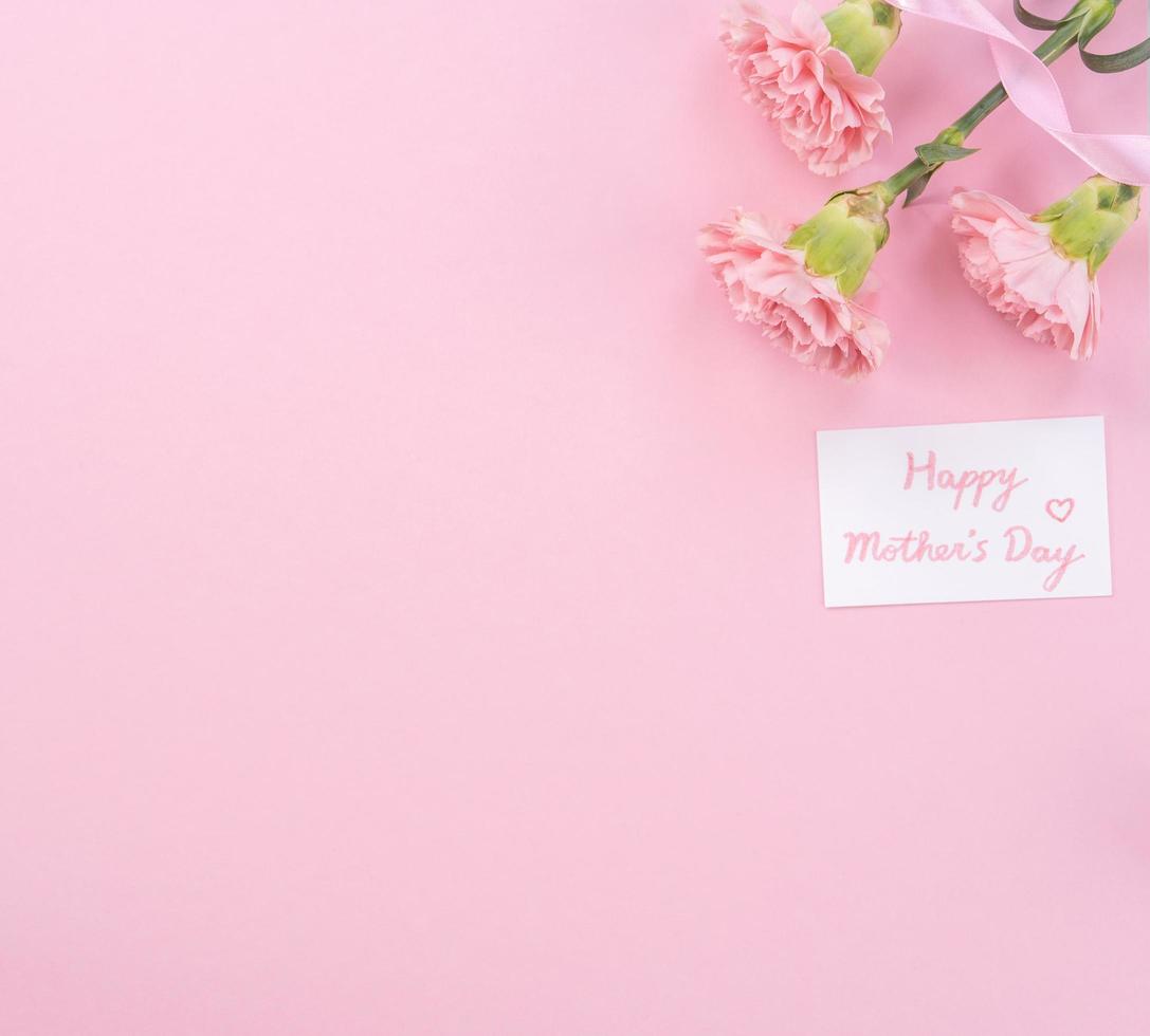 hermosos claveles tiernos de color rosa bebé frescos y florecientes aislados en un fondo rosa brillante, concepto de diseño de gracias del día de la madre, vista superior, capa plana, espacio de copia, primer plano, maqueta foto