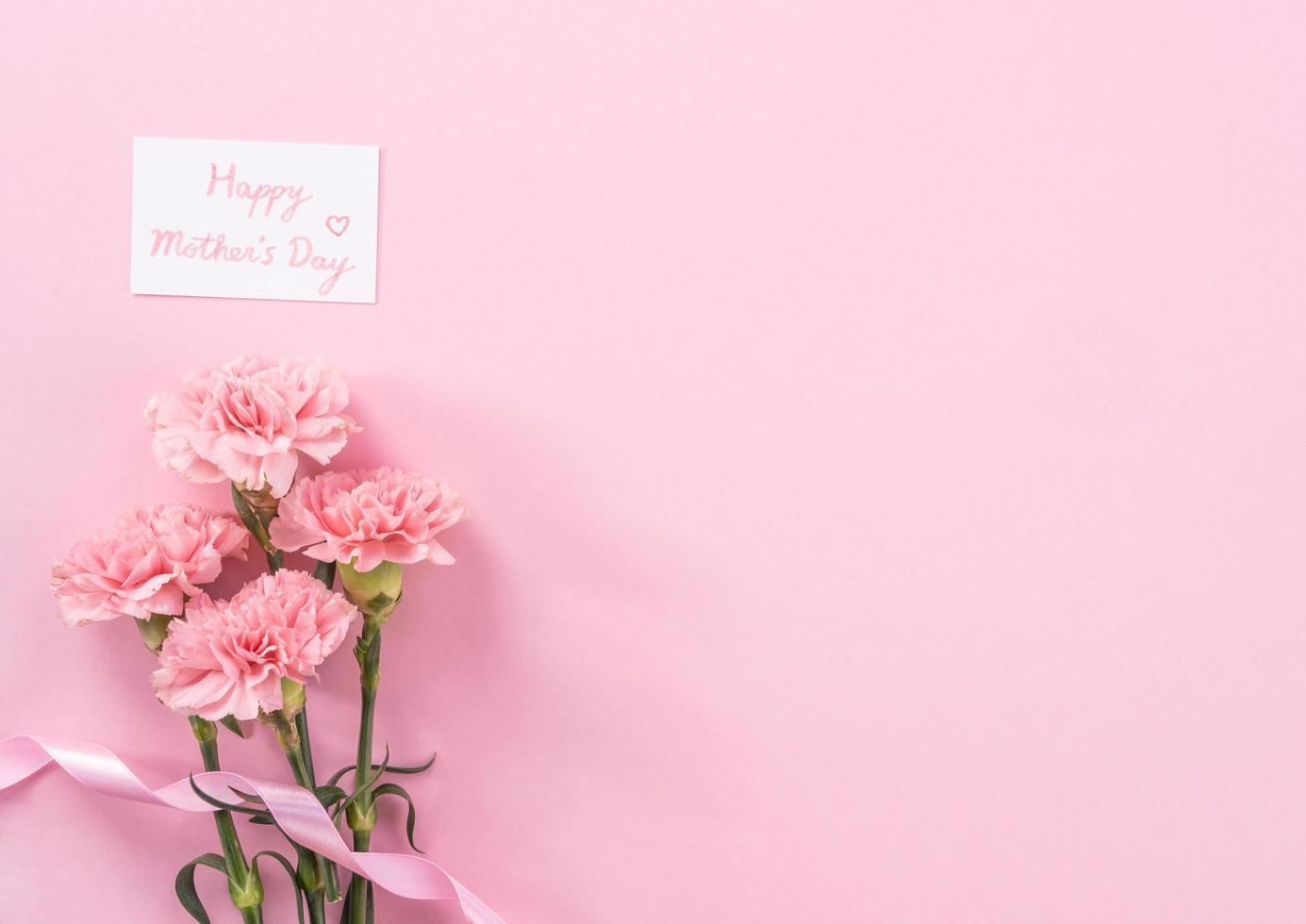 hermosos claveles tiernos de color rosa bebé frescos y florecientes aislados en un fondo rosa brillante, concepto de diseño de gracias del día de la madre, vista superior, capa plana, espacio de copia, primer plano, maqueta foto