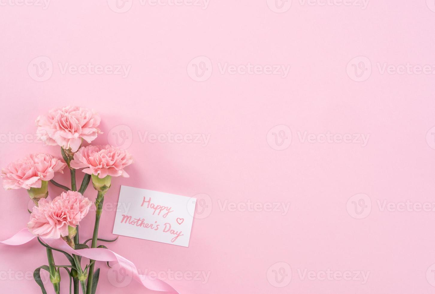hermosos claveles tiernos de color rosa bebé frescos y florecientes aislados en un fondo rosa brillante, concepto de diseño de gracias del día de la madre, vista superior, capa plana, espacio de copia, primer plano, maqueta foto