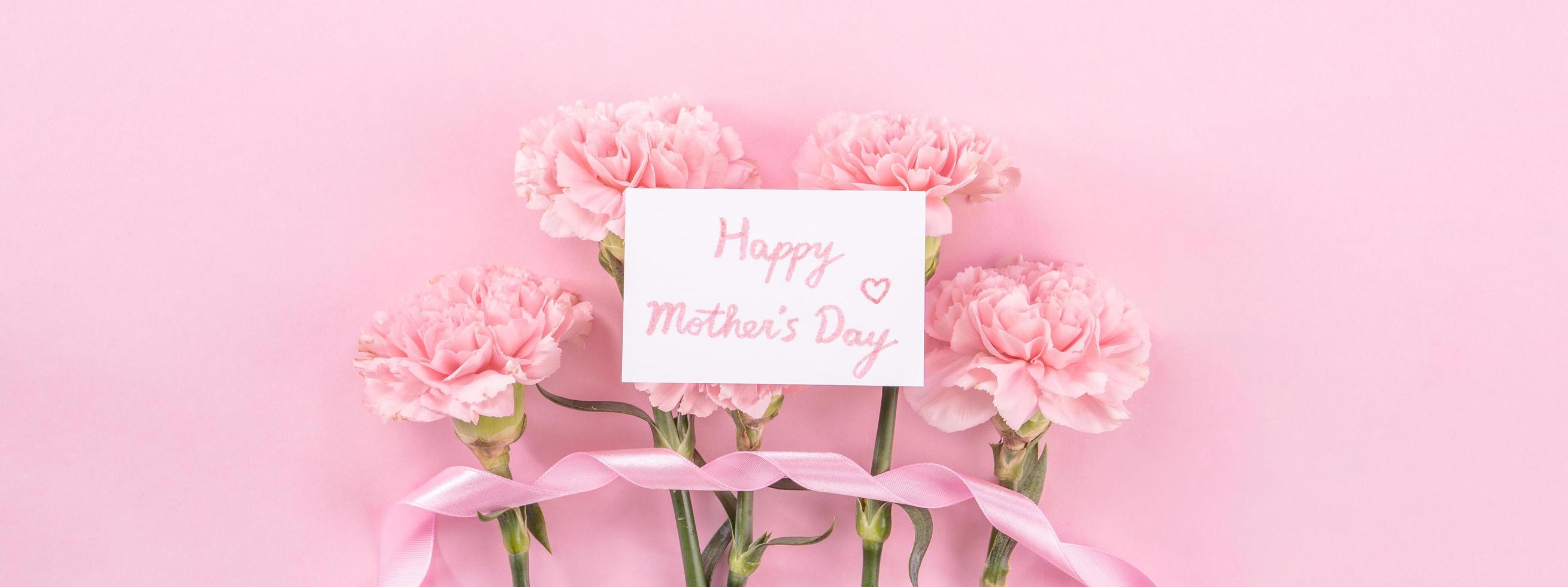 Top view, flay lay, copy space, close up, mock up, mothers day thanks design concept. Beautiful fresh blooming baby pink color carnations isolated on bright pink background photo