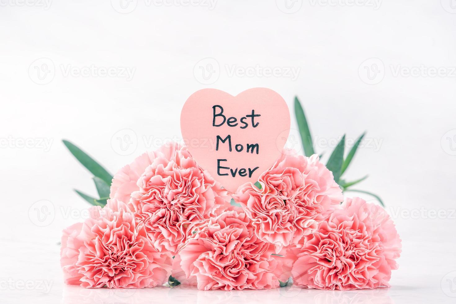 Top view front, copy space, close up, mock up, clipping path. Mothers day concept design. Beautiful fresh blooming baby pink color carnations isolated on bright white background. photo