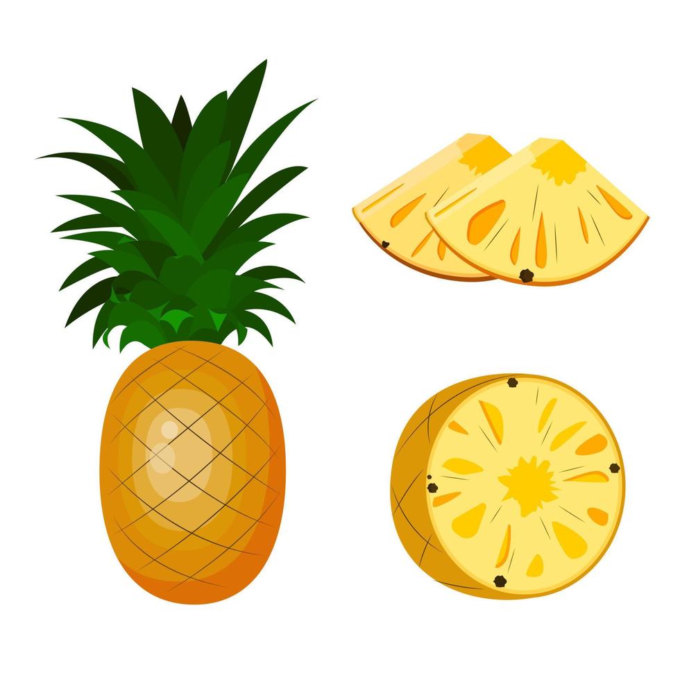 pineapple, whole, half pineapple and pieces. vector