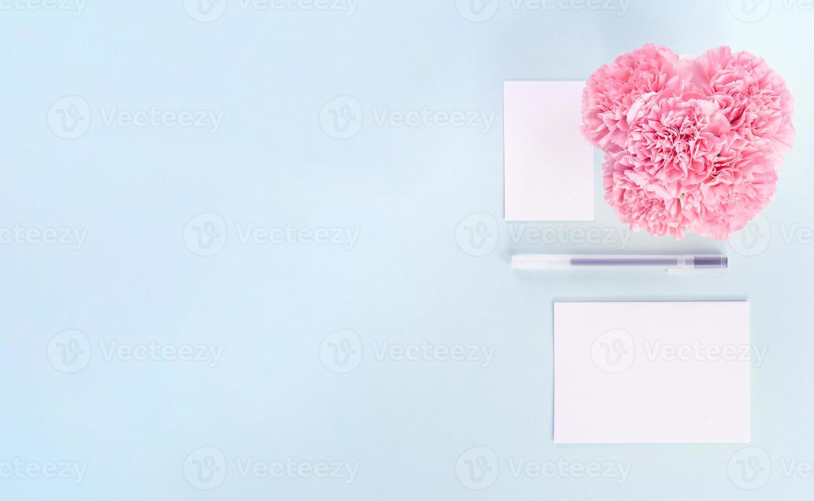 Beautiful fresh blooming baby pink color tender carnations isolated on bright blue background, mothers day thanks design concept,top view,flat lay,copy space,close up,mock up photo