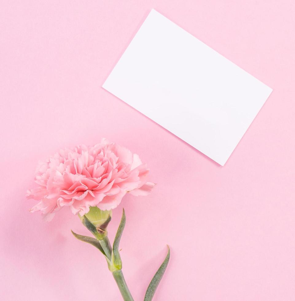 Top view, flat lay, mock up, copy space, handwritten greeting card template isolated with pale pink background, idea concept of thanks, wishes, craft carnations bouquet photo
