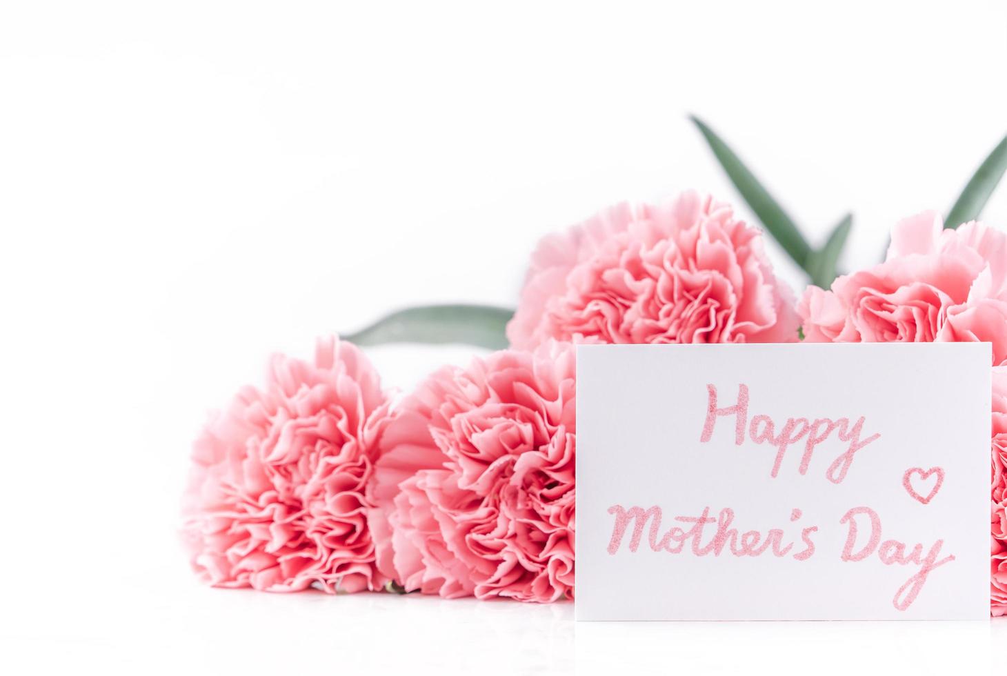 Top view front, copy space, close up, mock up, clipping path. Mothers day concept design. Beautiful fresh blooming baby pink color carnations isolated on bright white background. photo