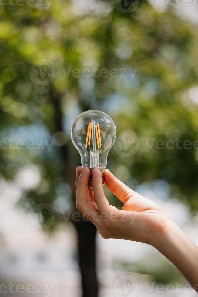 mano que sostiene la bombilla con fondo verde. idea energía solar en la naturaleza foto