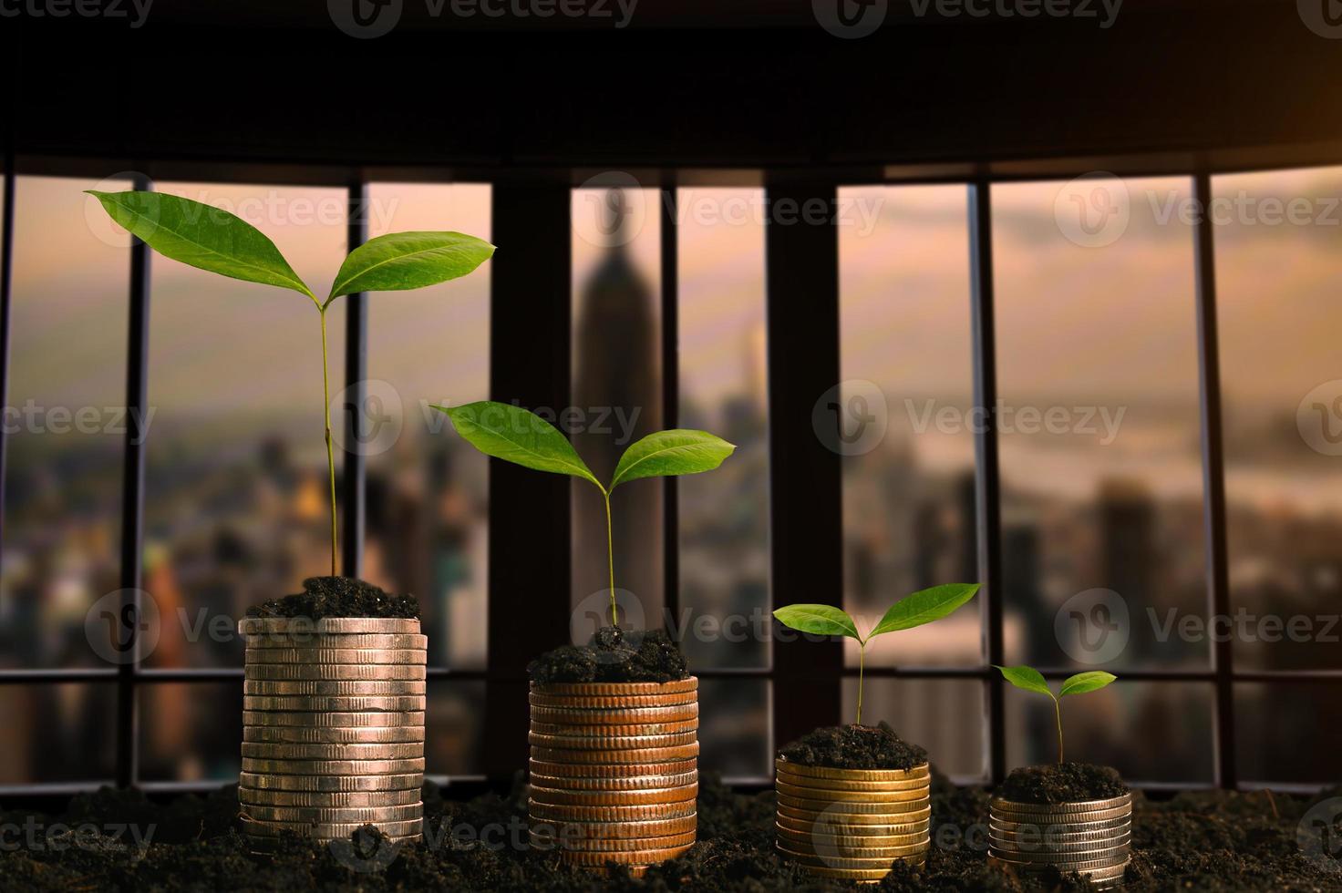 Plant growing step with coins stack on dirt and sunshine in nature morning light. concept saving money. photo