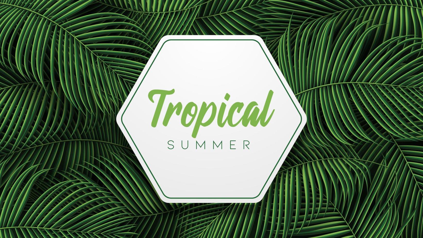 fondo de hojas de verano tropical con plantas de la selva vector