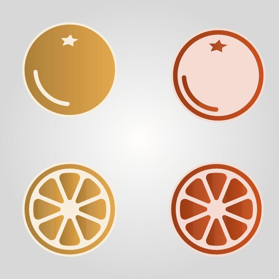 Citrus fruits, orange, grapefruit. Vector illustration