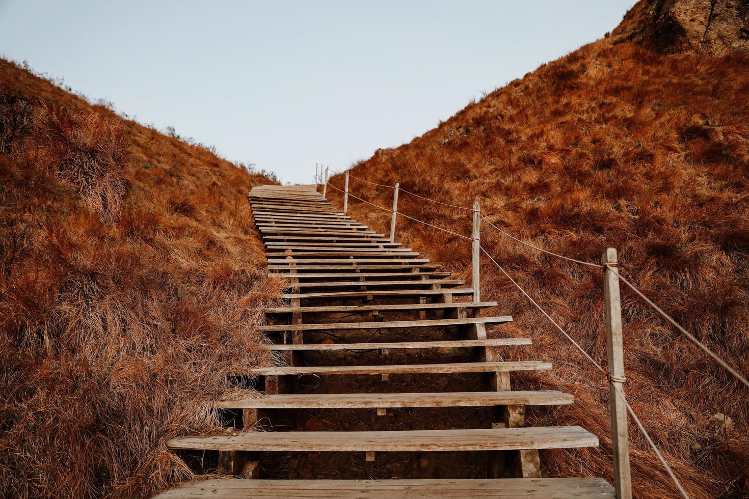 escaleras de madera rodeadas de hierba marrón en la isla de padar labuan bajo foto