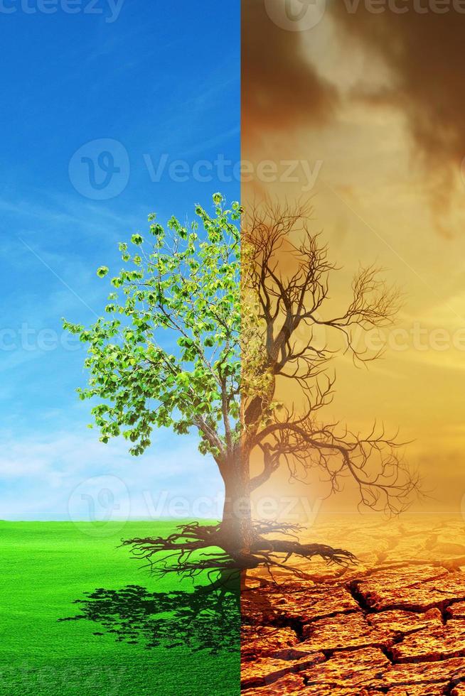 The concept of global warming and drought photo