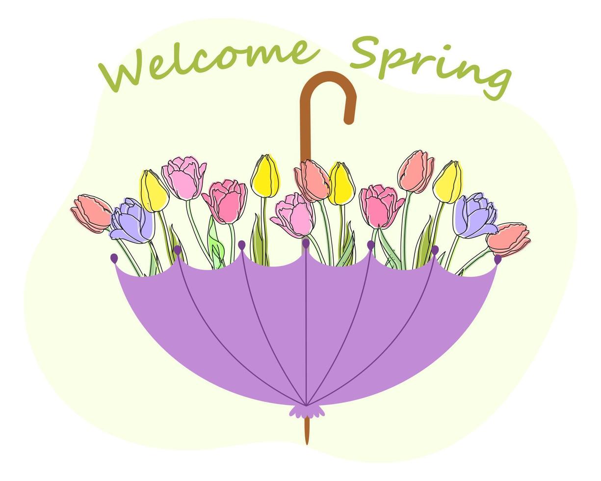 ilustración de primavera, coloridos tulipanes en un paraguas lila abierto. el concepto del comienzo de la primavera. postal, cartel vector