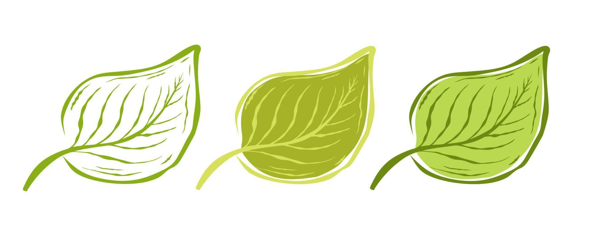 Vector vintage set icons of leaf. Vector illustration of leaves on white background on doodle style. Eco product.