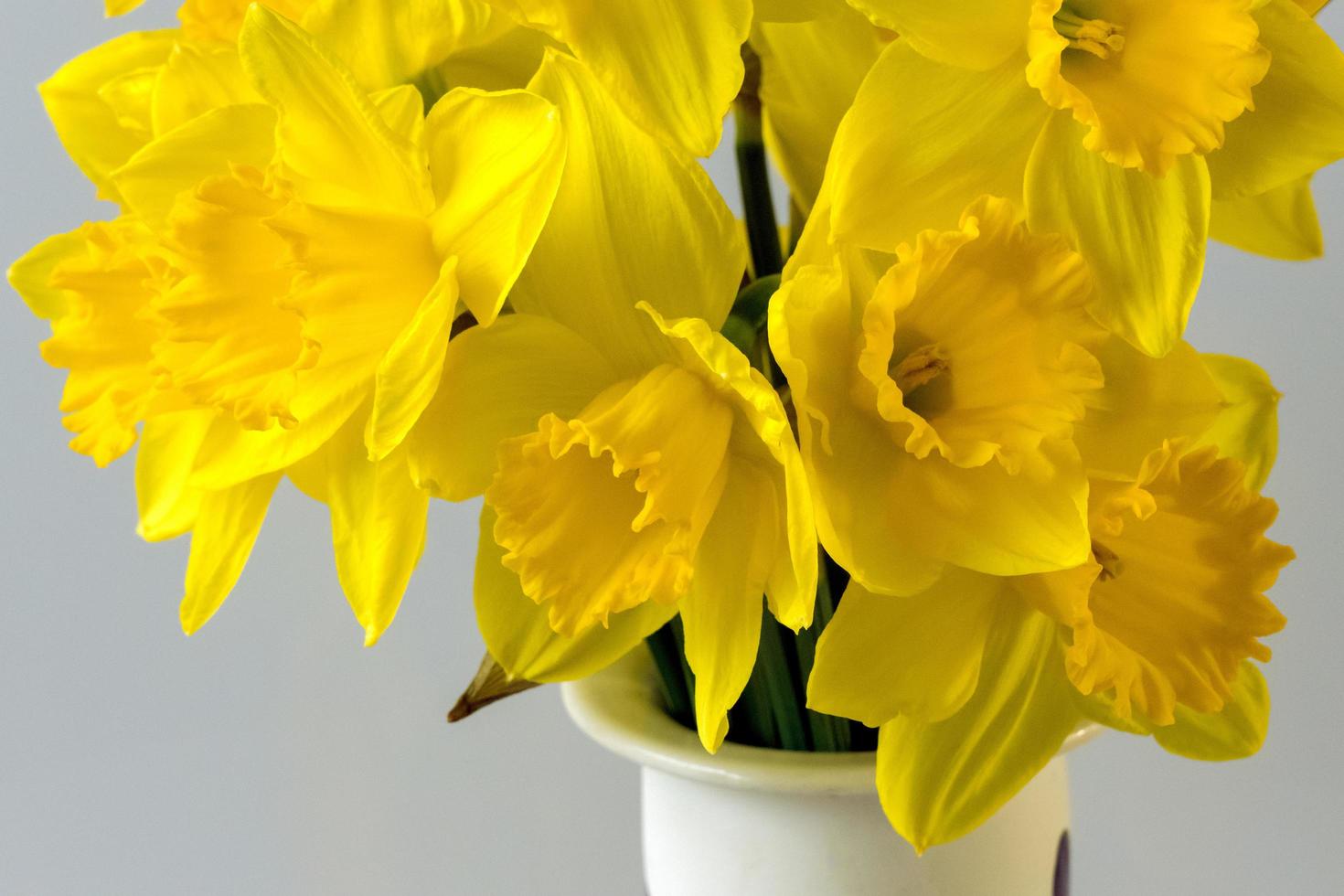 A bunch of of golden Daffodils in a decorated ceramic vase photo