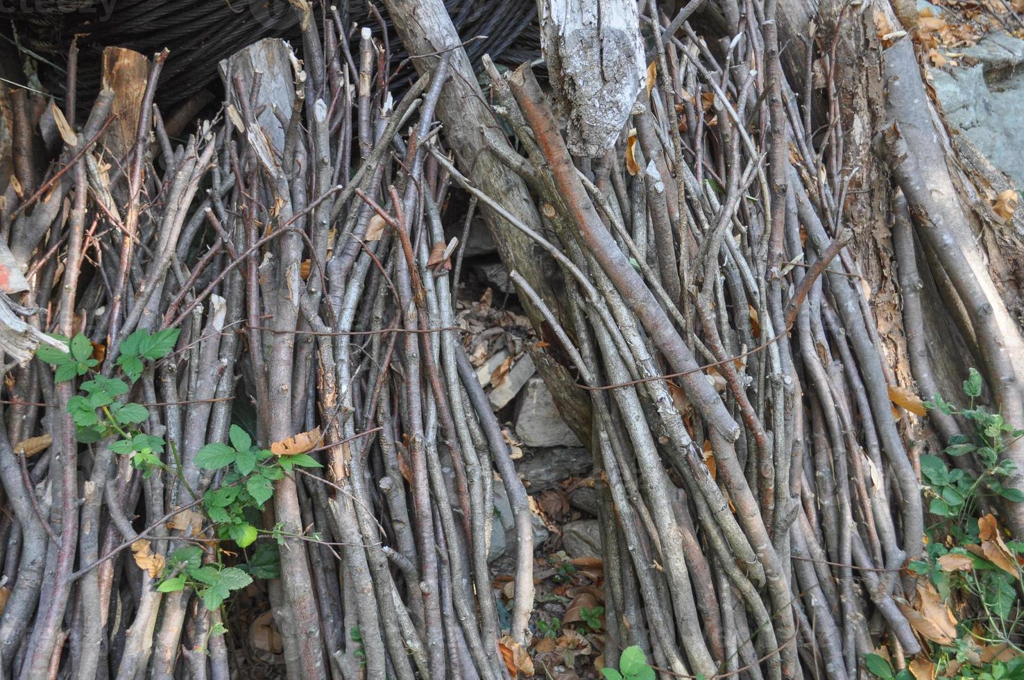 fagot bundle of branches photo