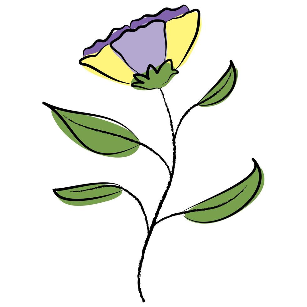 Hand Draw Brush Flower. vector